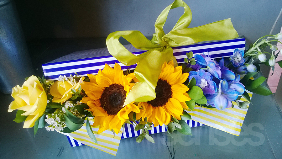 Gift Hampers for Her – Give Her Something Special!