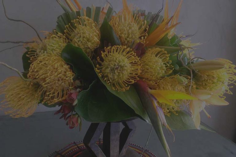 Flowers for Christmas – Specialty Arrangements